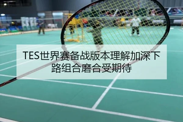 TES世界赛备战版本理解加深下路组合磨合受期待
